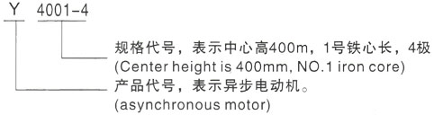 西安泰富西玛Y系列(H355-1000)高压YKK5601-4/1250KW三相异步电机型号说明